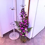Luna Apartment *